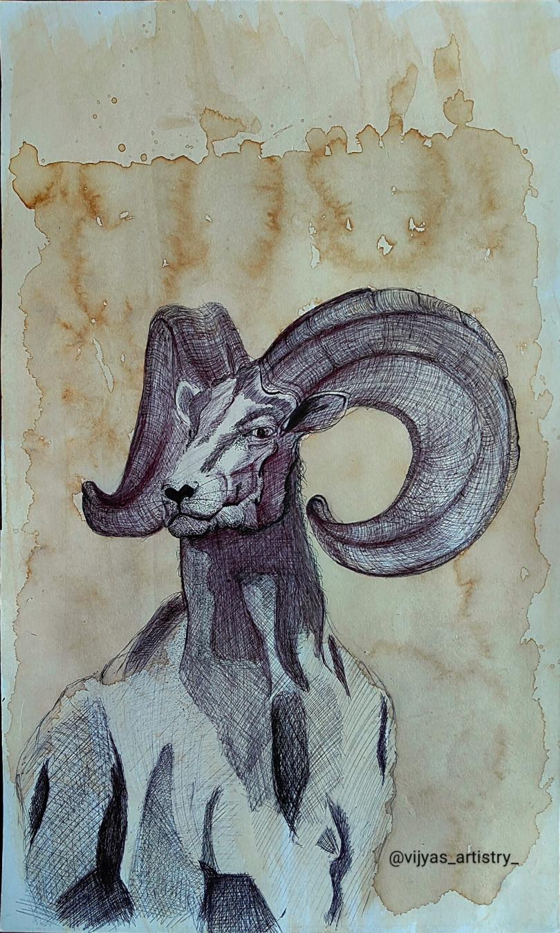 Ram ink drawing on aged paper
